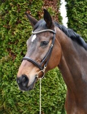 IN-HAND SHOW BRIDLE,  HAVANA BROWN PONY COB FULL,  SOFT LEATHER *FREE POSTAGE*