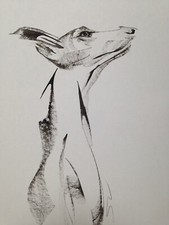 Original signed Ink sketch of a Whippet Greyhound Lurcher A3