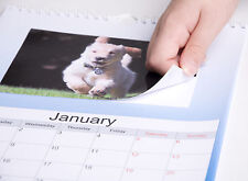 MAKE YOUR OWN 2026 PERSONALISED A4 CALENDAR WITH YOUR 6X4" PHOTO PRINTS