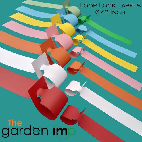 Loop lock plant - loop,