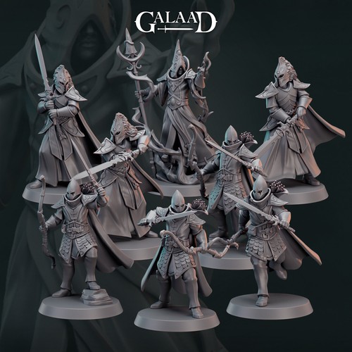Elf fighters warband - warband,, galaad