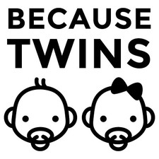 Vinyl Decal Car Truck Sticker