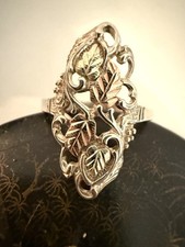 Coleman CCO Black Hills