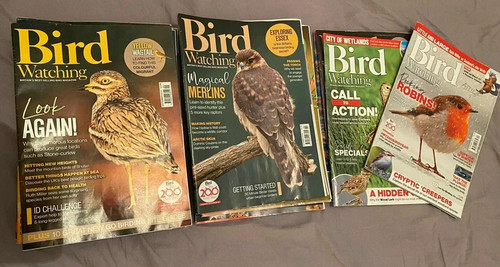 Collection bird watching - collection,