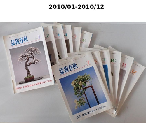Bonsai shunkyu 2010 complete - 2010,