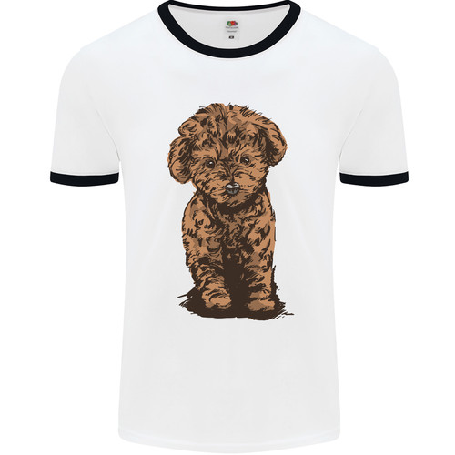 Dogs cute labradoodle puppy - dogs,