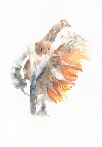 Original watercolour painting - watercolour,