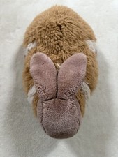 Chantilly Bunny Rabbit