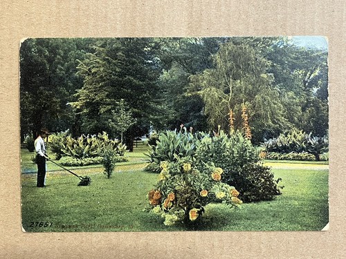 Postcard galesburg standish - il,