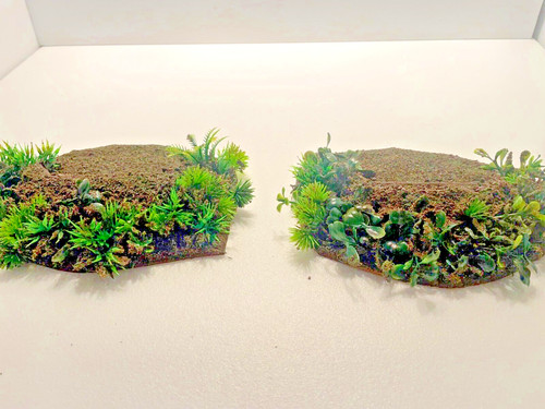 Set of 2 jungle - 2,