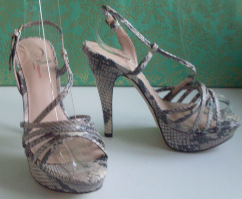 Bennett london snake python - lk,
