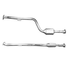 BM Cats Approved Cat &