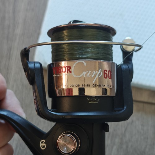 Lineaeffe vigor carp - vigor, 40