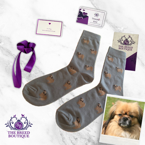 Tibetan spaniel socks unisex - tibetan,