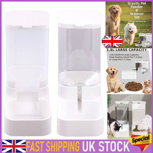 Automatic pet feeder - feeder, cat