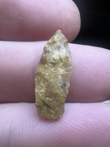 Montgomery flint indian - flint,