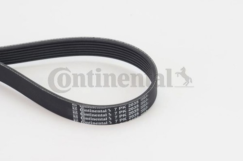 Ribbed belt contitech fits - v-ribbed,