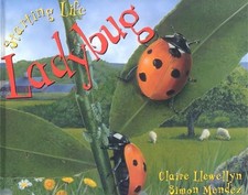 Ladybug (Starting Life), Llewellyn, Claire