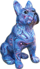 Large Blue French Bulldog