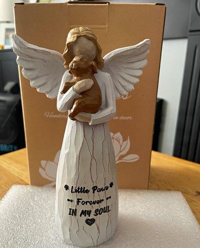 Angel dog pet - angel,