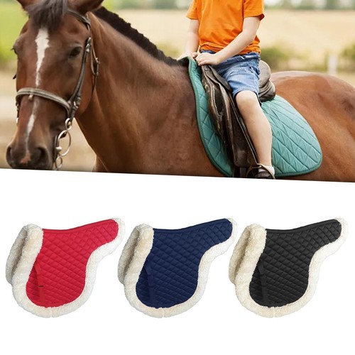 Saddle pad for horse - for,