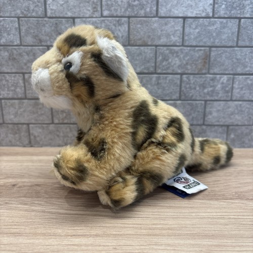 Nature planet ginger - 7",