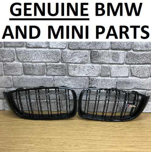 Genuine bmw gloss - genuine,