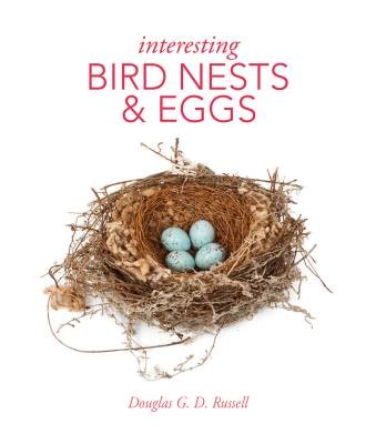 Interesting bird nests and - bird,