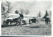 1960 Minnetonka MN Joe V