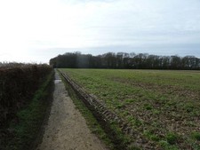 Photo A3 Footpath 37