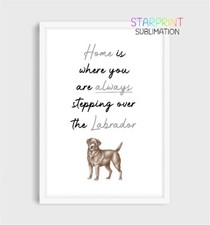 Labrador (Chocolate) Unframed