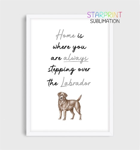 Labrador unframed - (chocolate),