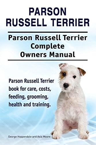 Parson russell terrier - parson,