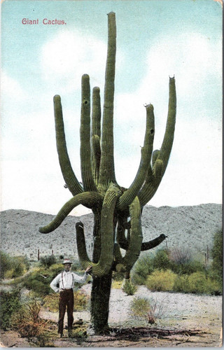 Man stands next giant - to,
