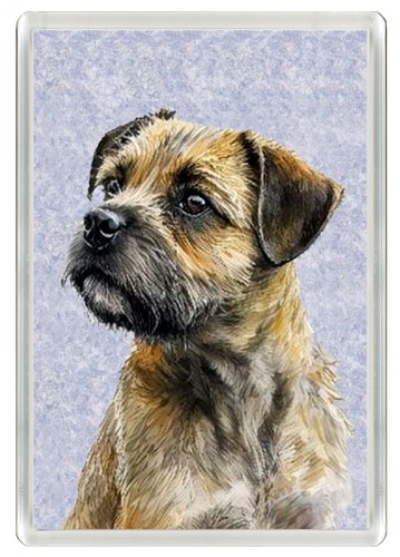 Border terrier dog fridge - terrier,