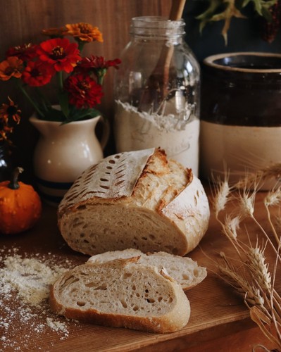 Sourdough starter dehydrated - starter,