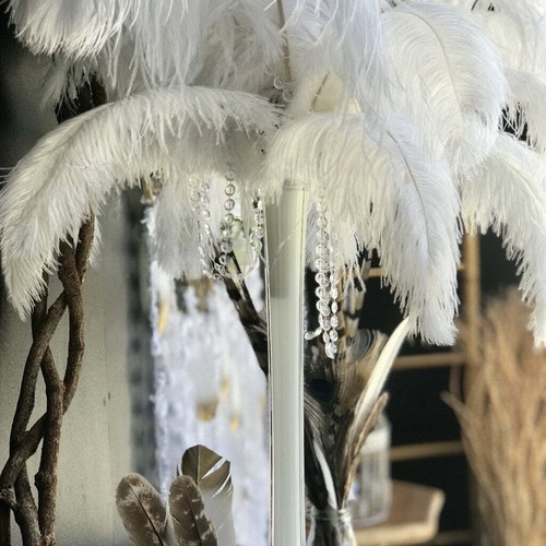 New ostrich feather - ostrich,