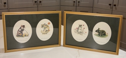 Oval framed vintage - framed,