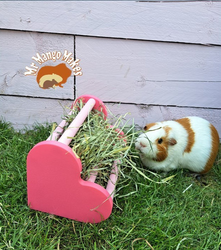 Guinea pig hay - hay, rabbit