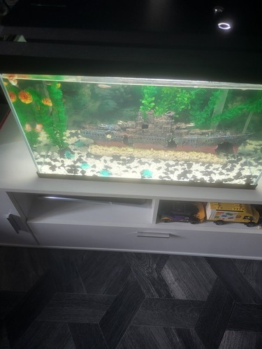 2ft fish tank