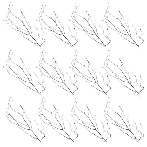 20pcs natural birch wood twigs - birch,