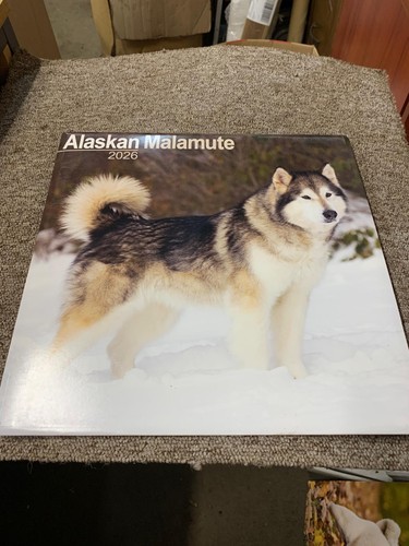 Alaskan malamute calendar 2026 - malamute,