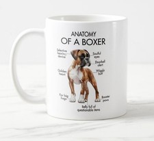 Anatomy of a Boxer Dog -