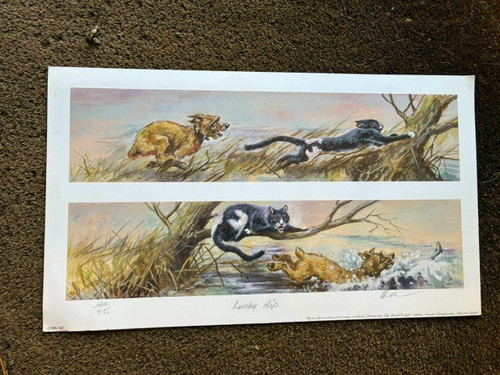 Mick cawston signed limited - mick,