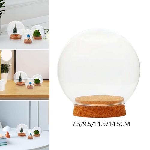 Glass dome with - glass,