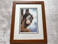 Paul Dyson Signed Orangutan