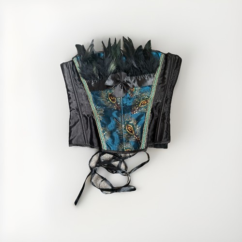 Corset with feather detail - feather,