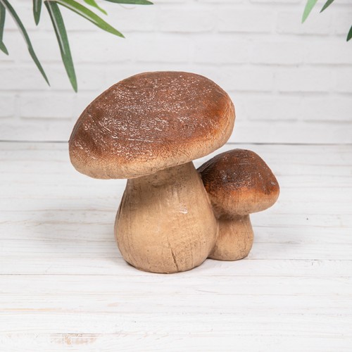Mushroom double toadstool - mushroom,