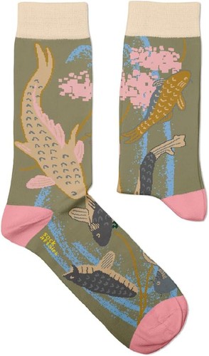 Koi carp pond - carp, socks
