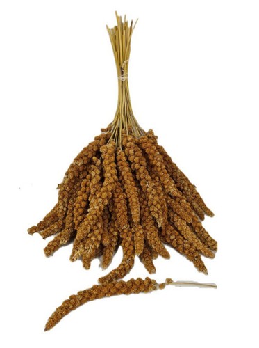 Red millet spray 500g - millet,